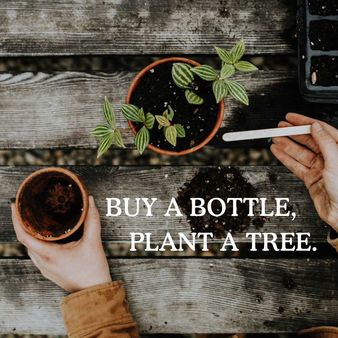 PLANTING TREES FOR EARTH DAY AND ARBOR DAY