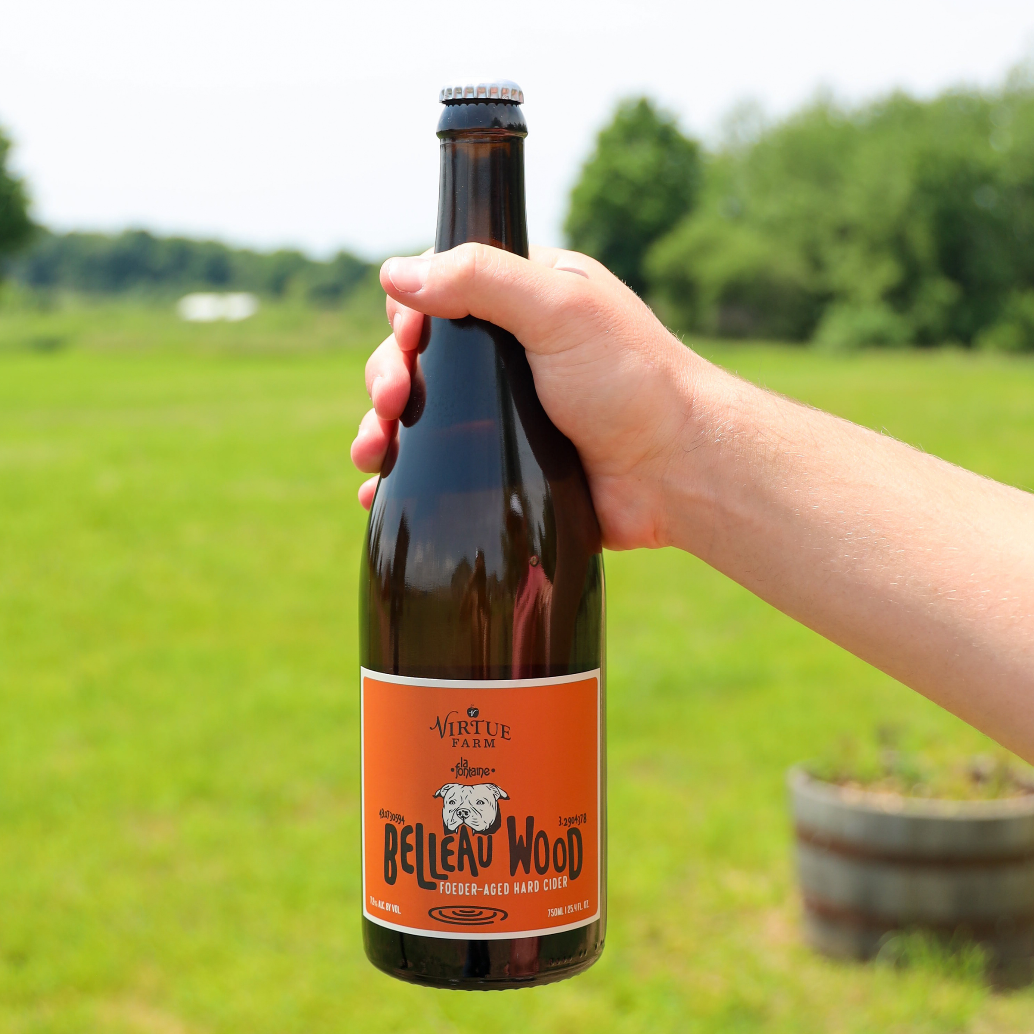 belleau wood hard cider 2022