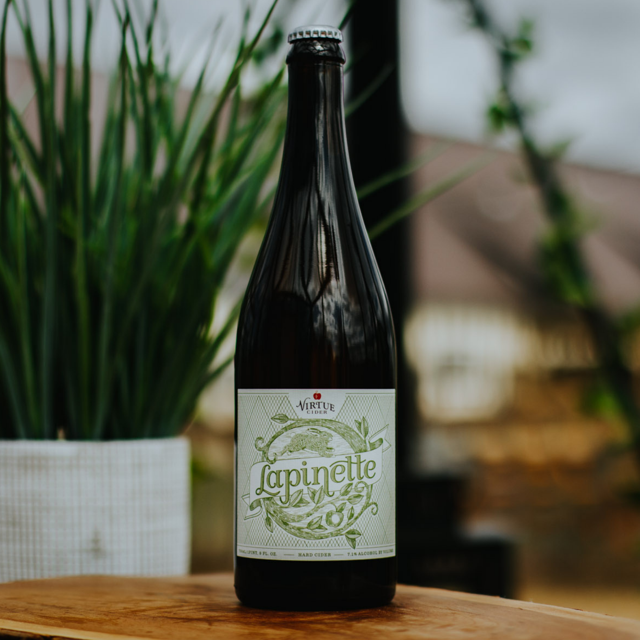 lapinette hard cider 2021