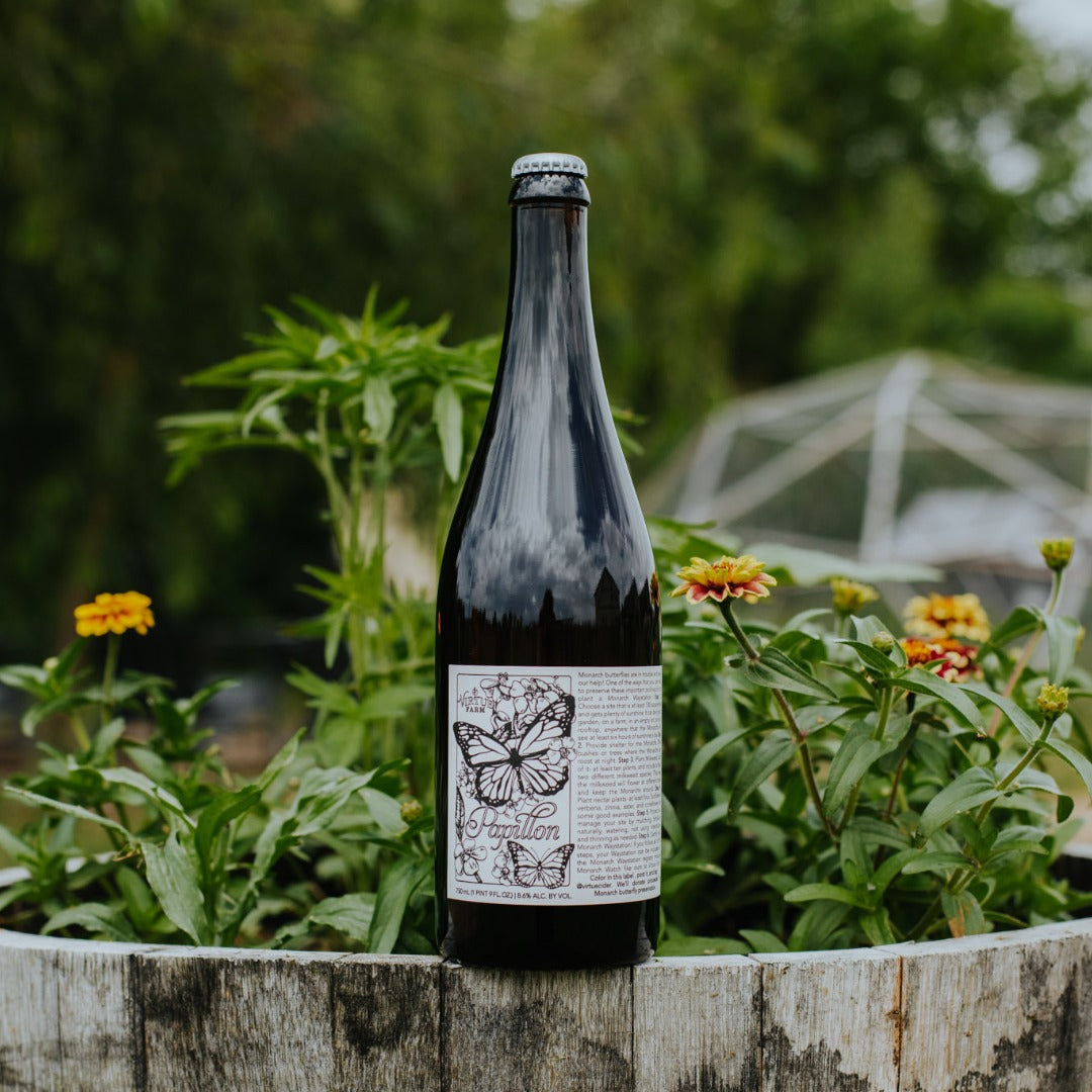 papillon hard cider 2021
