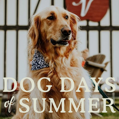 JOIN US FOR DOG DAYS OF SUMMER